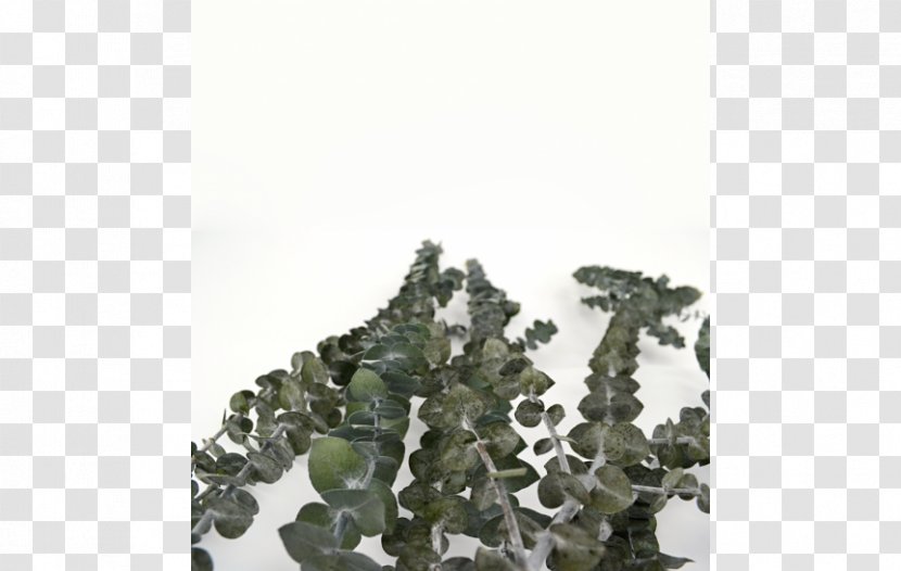 Military Camouflage Tree Transparent PNG