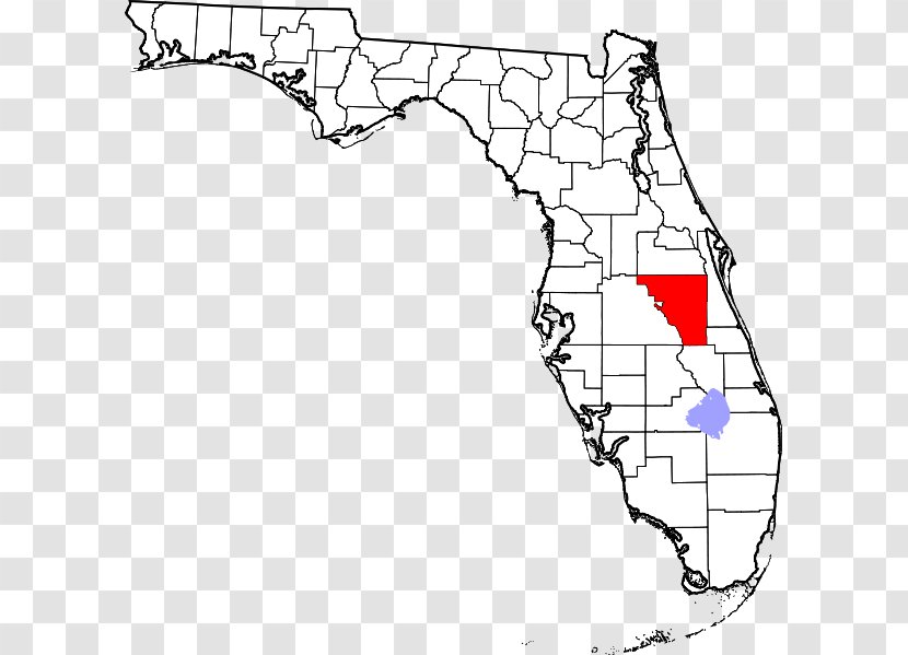 Palm Beach North Miami Volusia County Osceola County, Florida Escambia - Map Transparent PNG