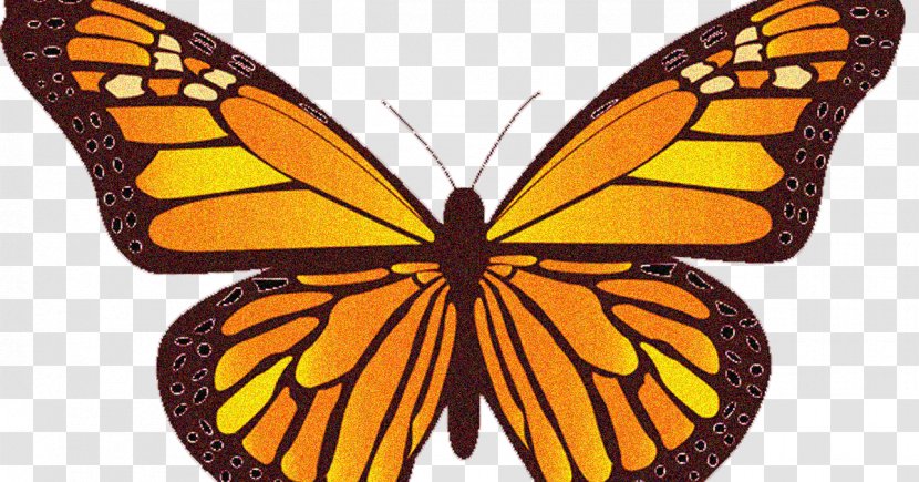 Monarch Butterfly Wing Clip Art - Royaltyfree Transparent PNG