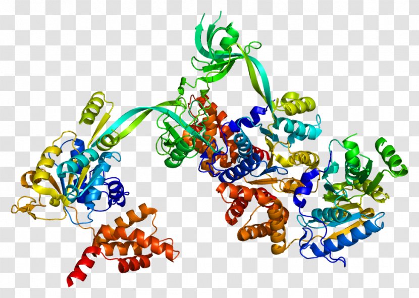 RuvB-like 1 Histone Nucleosome Protein RUVBL2 - Wikipedia - Code Transparent PNG