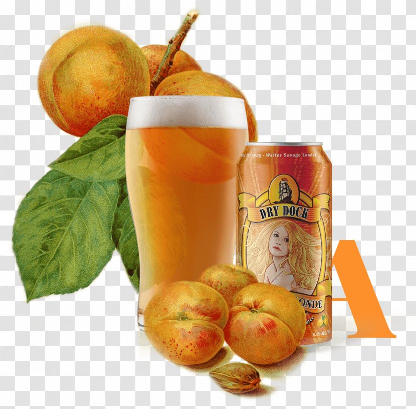 Beer Ale Apricot Brewery Dry Dock Brewing Company - Fruit Transparent PNG