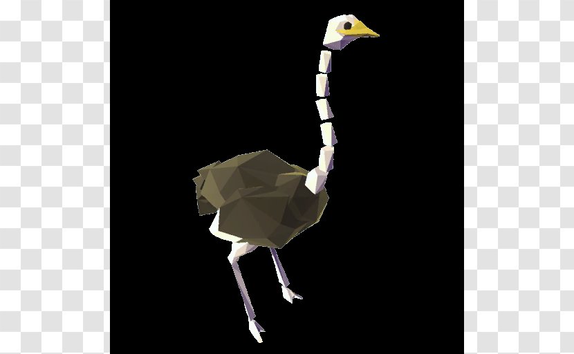 Common Ostrich Bird Crane Beak - Ratite Transparent PNG