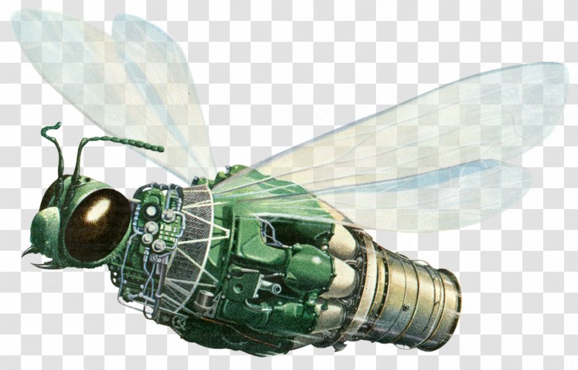 Insect - Pest - Pratt And Whitney Transparent PNG