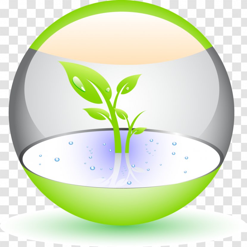 Bulb On - Glass - Plant Transparent PNG