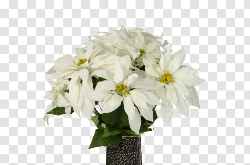 Cut Flowers Poinsettia Powell Gardens Plant - Vase - White Chrysanthemum Transparent PNG