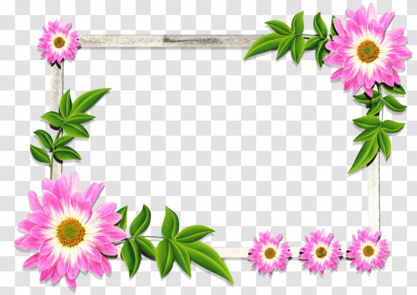 Wedding Watercolor Flowers - Plant - African Daisy Wildflower Transparent PNG