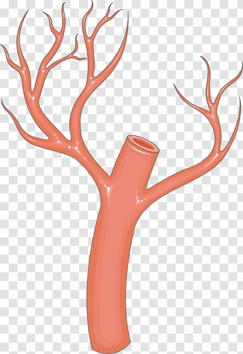 Finger Antler Clip Art - Tree - Design Transparent PNG