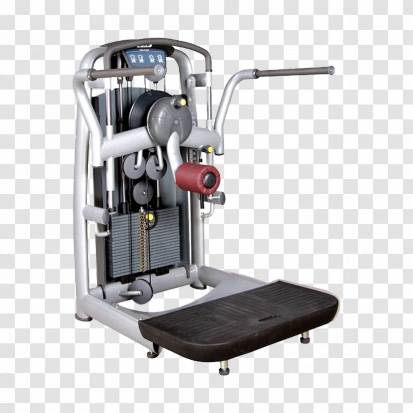 Fitness Centre Physical Exercise Equipment Machine - Flower - Gyms In Stone Sm Pro Transparent PNG