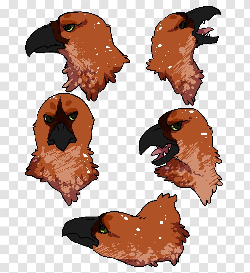 Beak Chicken As Food Clip Art - Harpia Transparent PNG