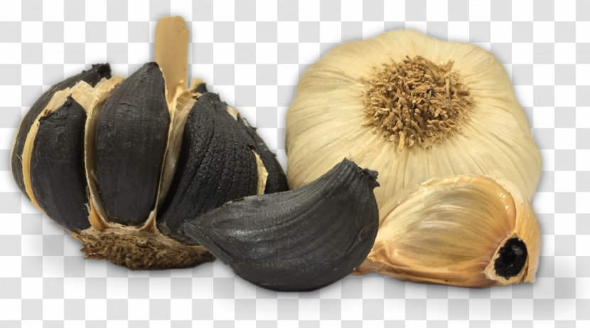 Black Garlic Food Ajos Pedroñete Vegetarian Cuisine - Cartoon Transparent PNG