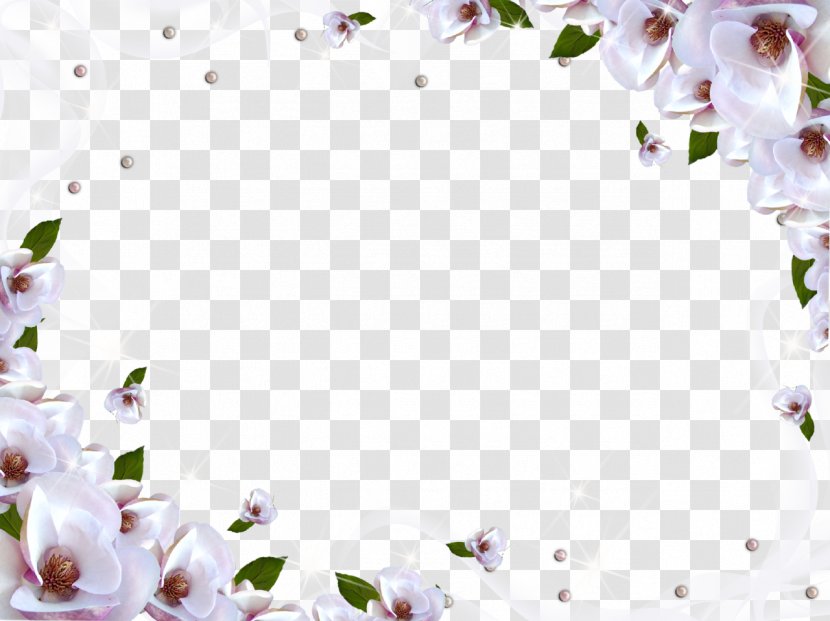 Flower Wallpaper - Image File Formats - White Frame Transparent PNG