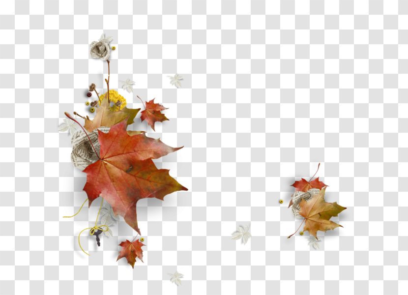 Clip Art Image Autumn WhatsApp GIF - Dried Flowers Transparent PNG