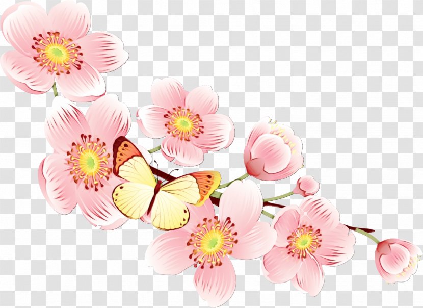 Cherry Blossom - Spring Transparent PNG