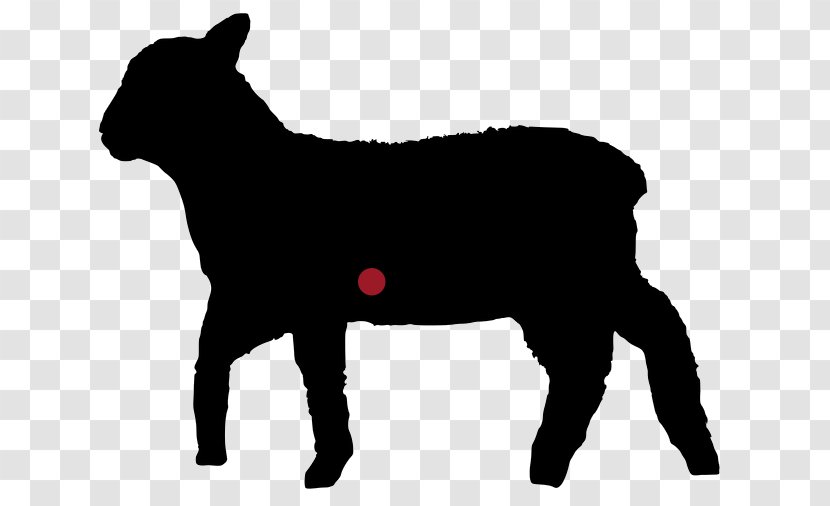French Bulldog Boston Terrier Agneau Lamb And Mutton - Livestock - Shaun The Sheep Transparent PNG