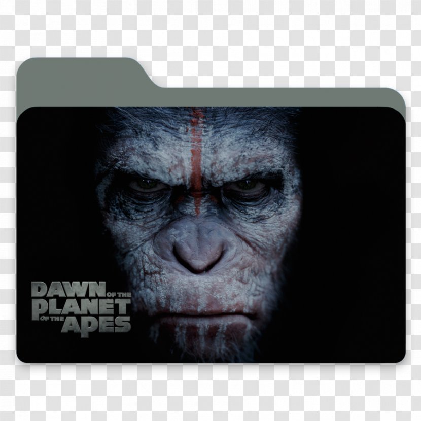 Planet Of The Apes Film Director Science Fiction - Keri Russell Transparent PNG
