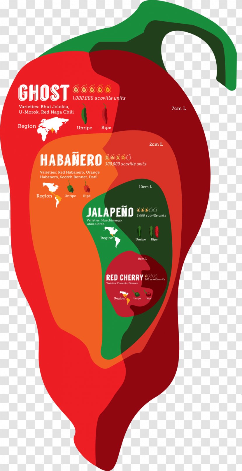 Infographic Chili Pepper Scoville Unit Bhut Jolokia Jalapeño - Plant - Squarespace Transparent PNG