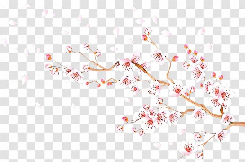 Cherry Blossom - Branch - Twig Plant Transparent PNG