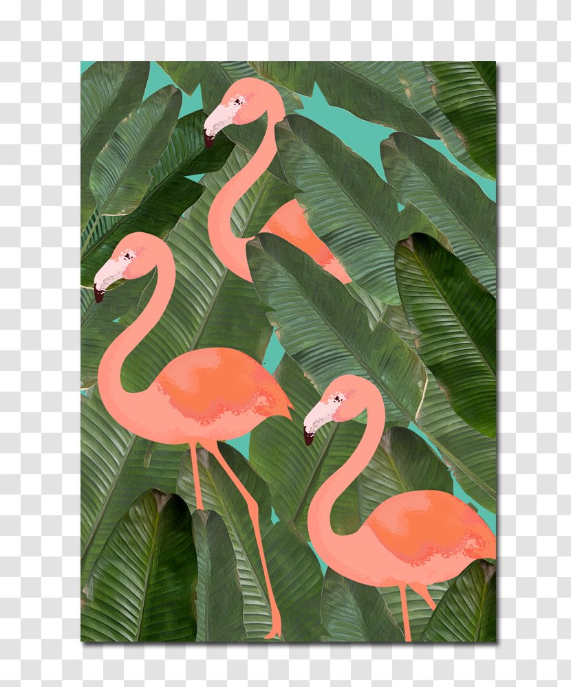 Flamingo Mary D. Bird, Ot Art Water Bird - Tree - Flamingos Transparent PNG
