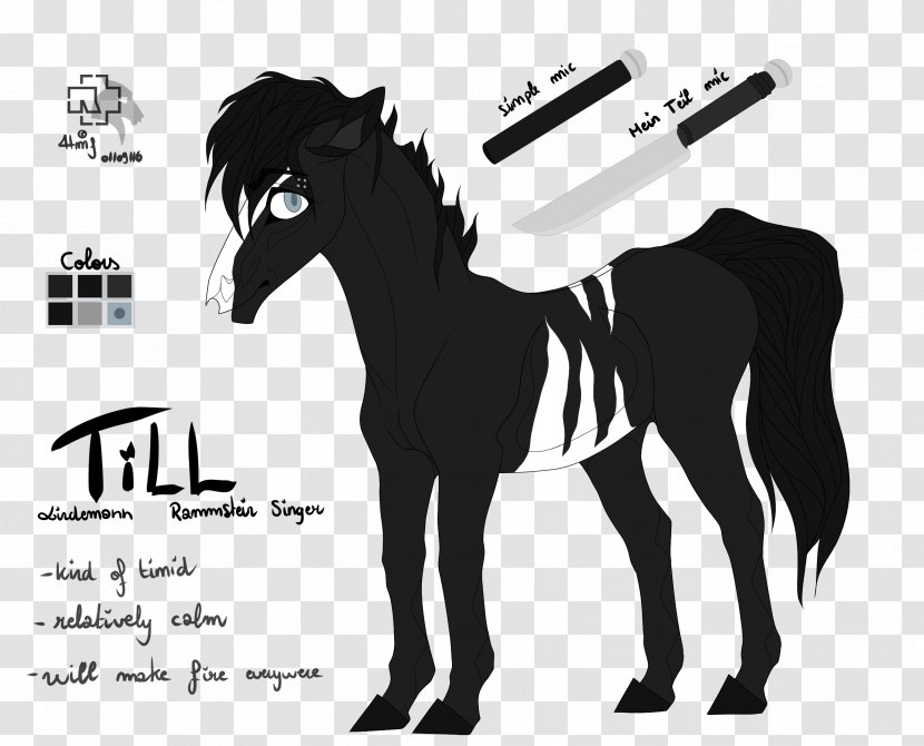 Mane Pony Mustang Stallion Halter Transparent PNG