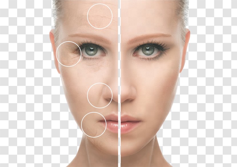 Microblading Eyebrow Skin Food Health - Forehead - Federico Russo Age Transparent PNG