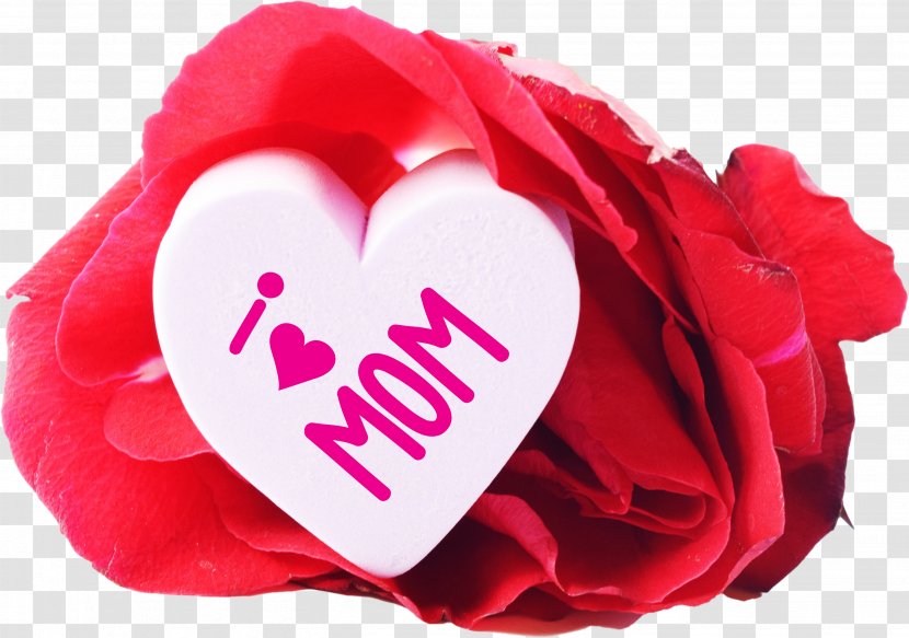 Mother's Day Message Father's Gift - Love - Mothers Transparent PNG