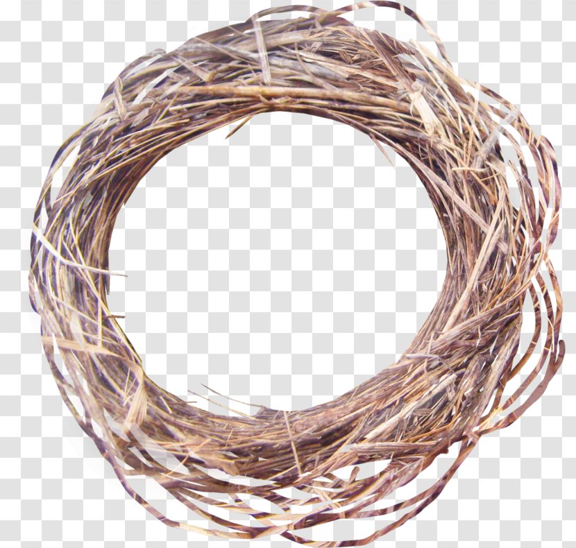 Carrelage Soap Bird Nest Image - Brown Background tree Transparent PNG