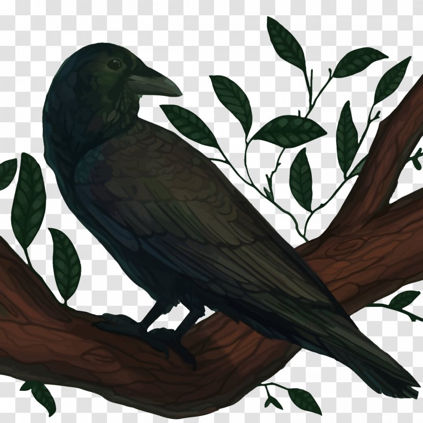 American Crow New Caledonian Common Raven Bird - Vector Transparent PNG