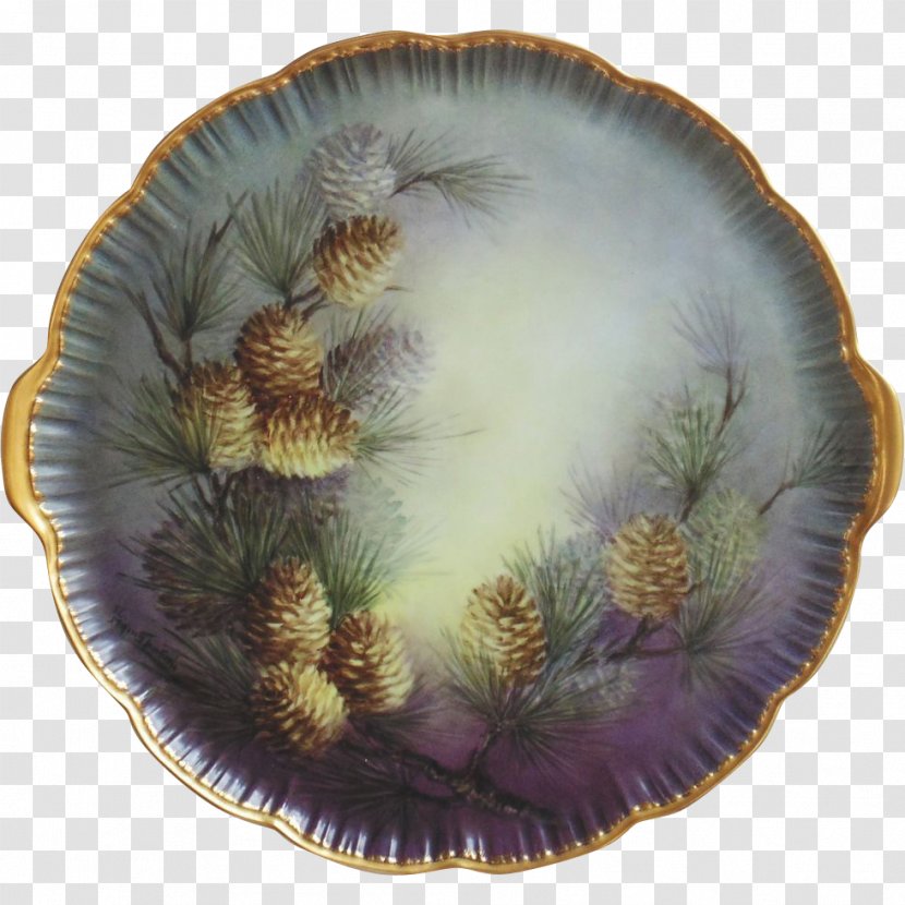 Invertebrate - Platter - Hand-painted Cake Transparent PNG