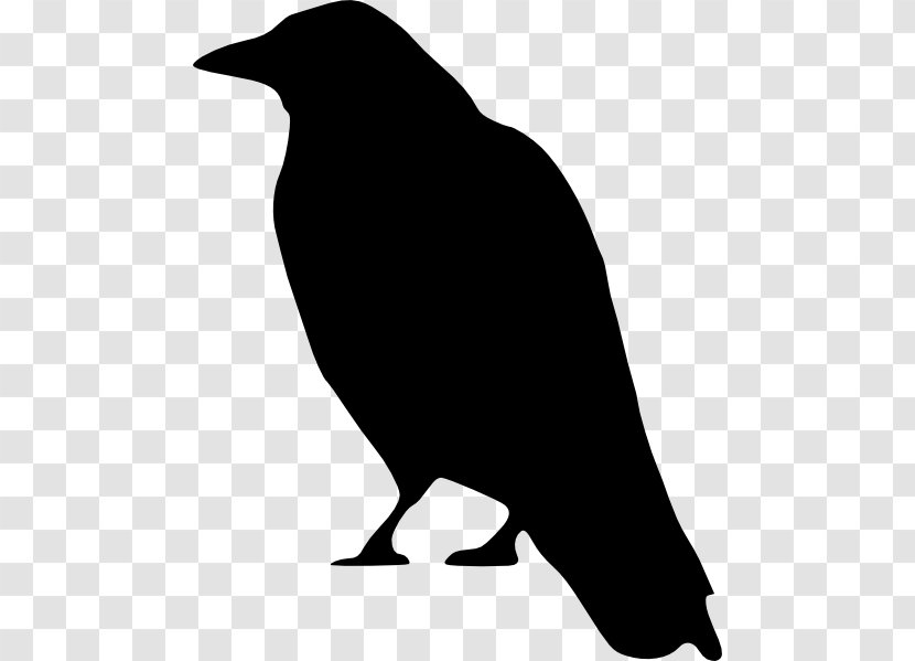 Crows Clip Art - Black And White - Cartoon Crow Transparent PNG