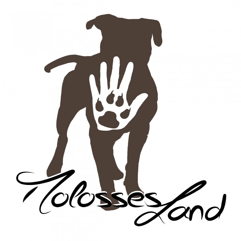Puppy Molosses-land Dog Breed Animal - Vertebrate Transparent PNG