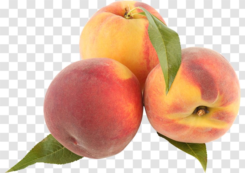 Peach Clip Art - Natural Foods Transparent PNG