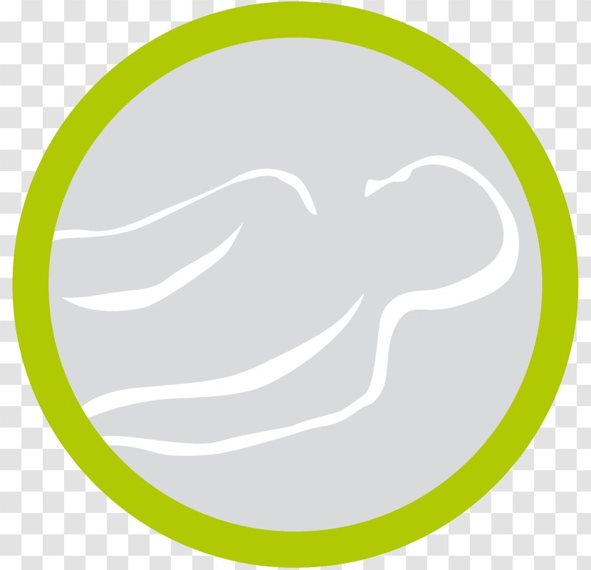 Logo Green Brand Font - Symbol - Oval Transparent PNG