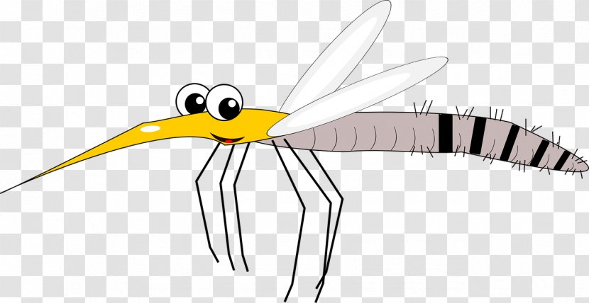 Insect Zika Virus Vector Scientist Disease - Leptospirosis Transparent PNG