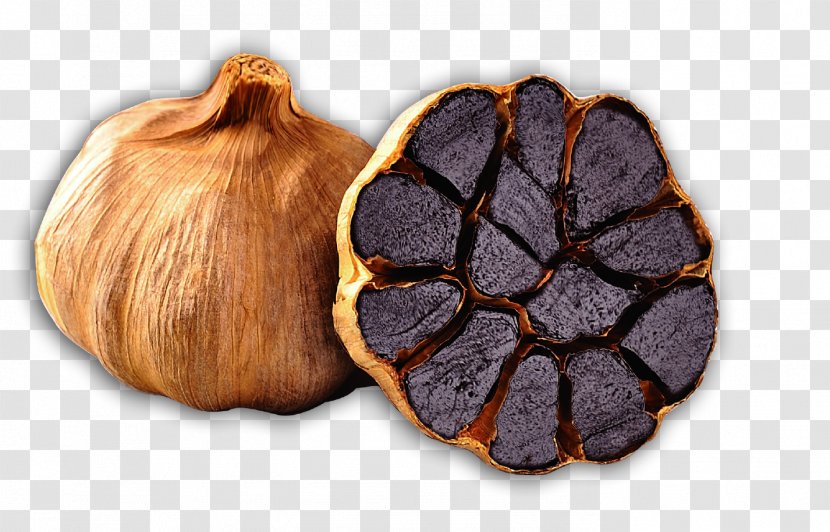 Black Garlic Food Buddha Jumps Over The Wall Fermentation - Fur - Vector Painted Transparent PNG