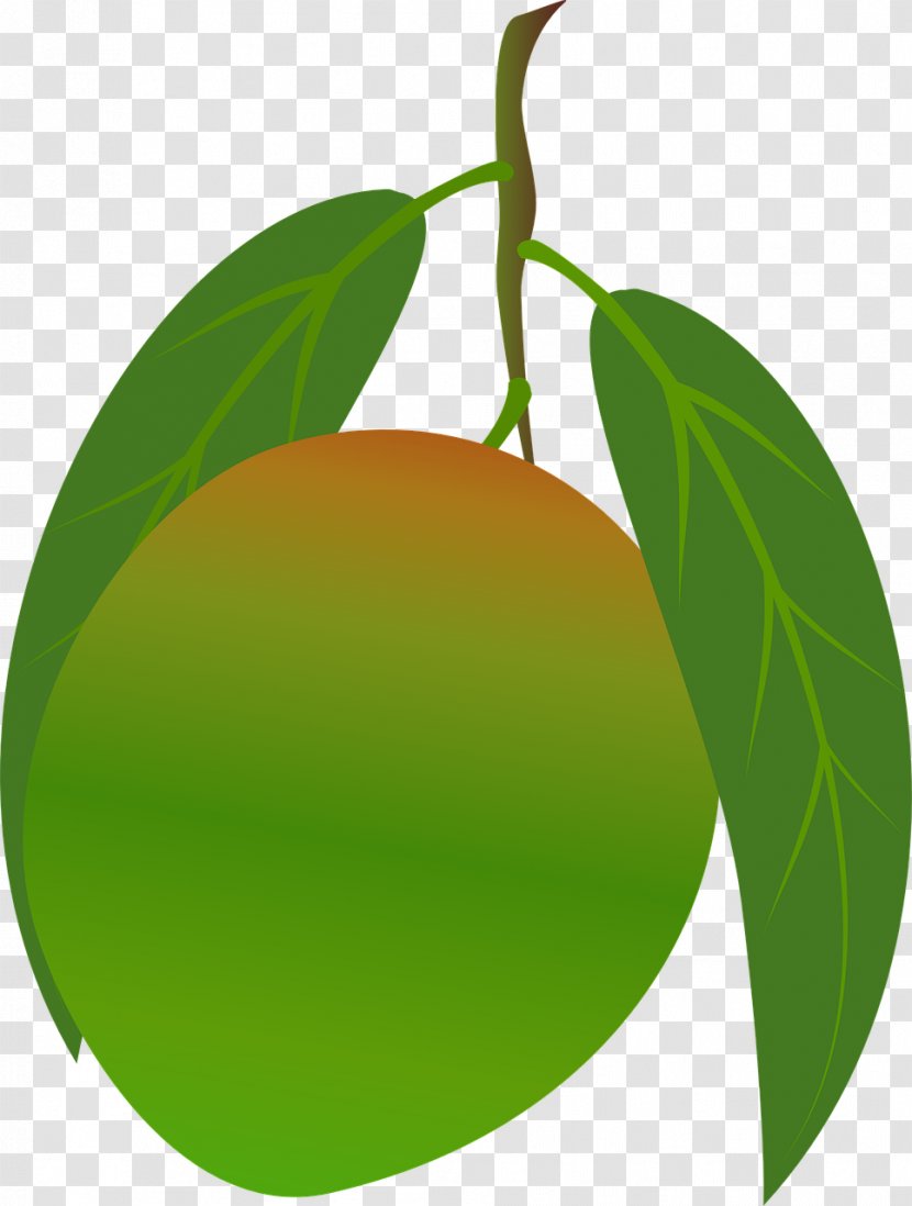 Citrus Mango Food Clip Art - Branch Transparent PNG