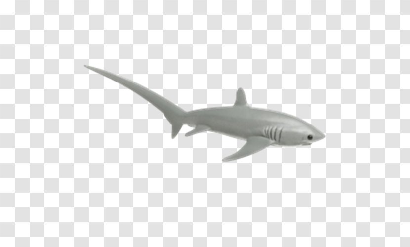 Shark Cartilaginous Fishes Safari Ltd Common Thresher Animal - Toy Transparent PNG