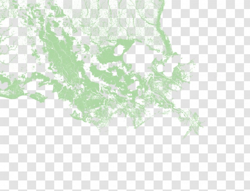 Louisiana Map Tuberculosis U.S. State - Green Transparent PNG