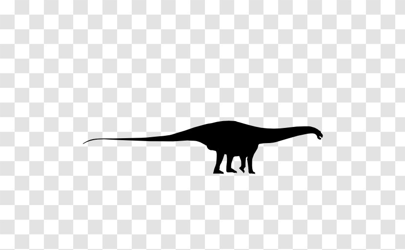 Apatosaurus Massospondylus Black And White Silhouette Dinosaur Transparent PNG