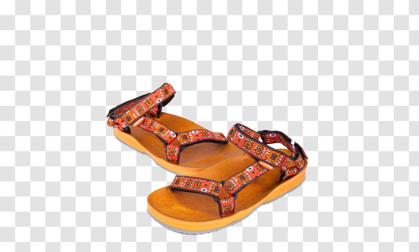 Sandal Shoe Leather Designer - Lizard - LIZARD Outdoor Sandals Transparent PNG