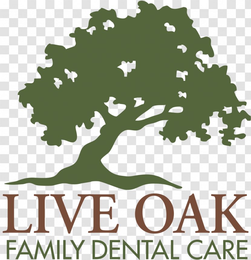 Dentistry Safety Syringe Patient Village Oaks Dental - Text - Live Oak Elementary Teachers Transparent PNG