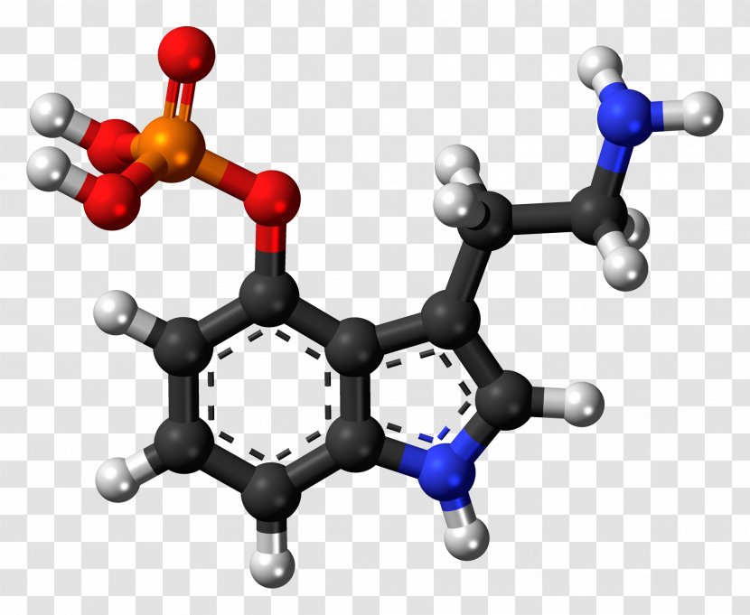 Psilocybin Mushroom Lysergic Acid Diethylamide Psilocin Magic Mushrooms - Drug Transparent PNG