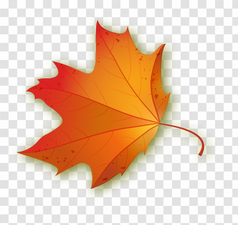 Maple Leaf - Banner - Orange Concise Leaves Transparent PNG