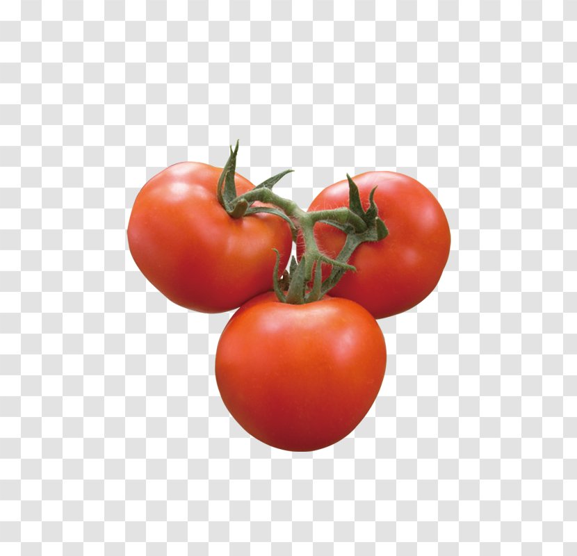 Plum Tomato Vegetable - Auglis Transparent PNG