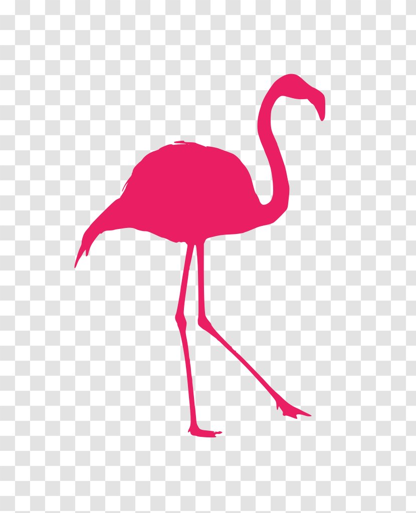Flamingo Silhouette - Bird - Wildlife Neck Transparent PNG