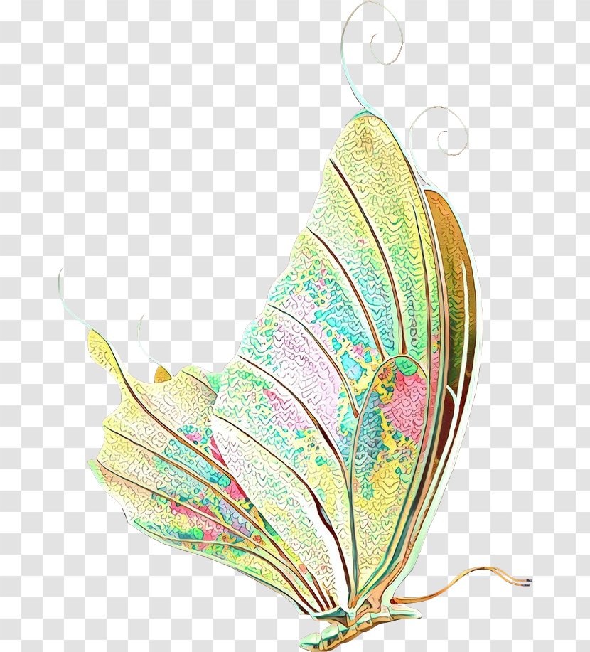 Feather - Fashion Accessory - Natural Material Plant Transparent PNG