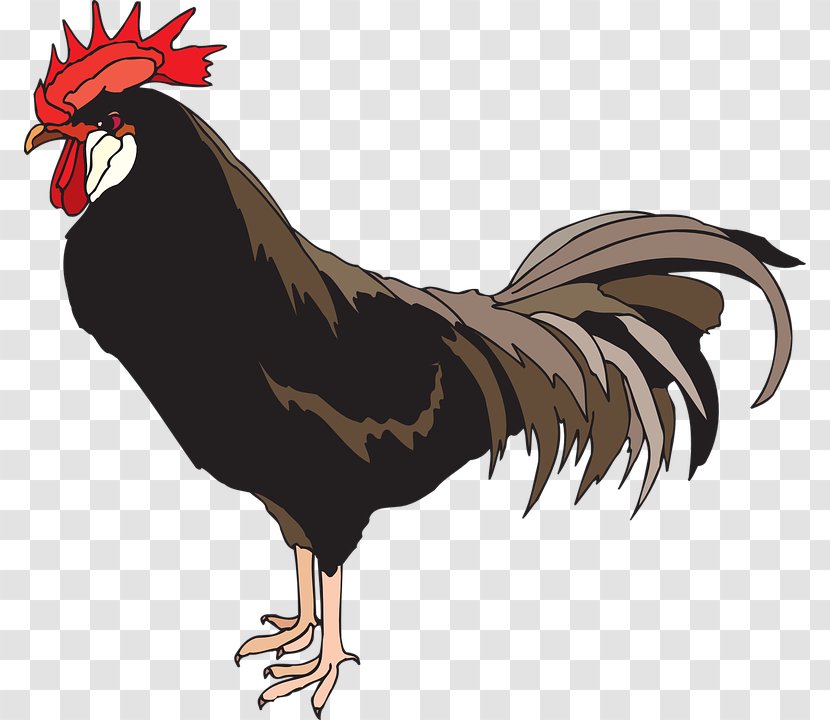 Rooster Clip Art - Wing - Cock Transparent PNG