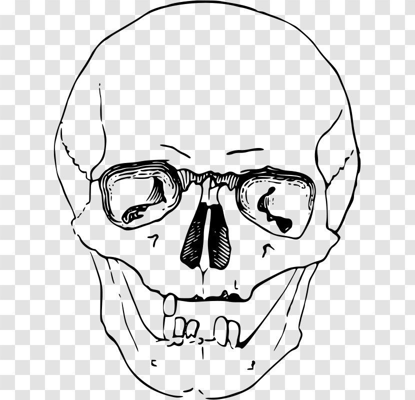 Skull Skeleton Clip Art - Watercolor Transparent PNG
