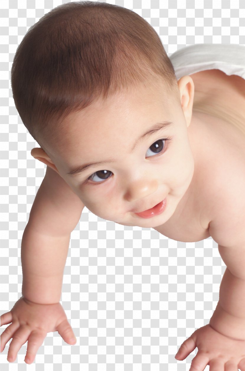 Infant Child - Ear - Baby Transparent PNG