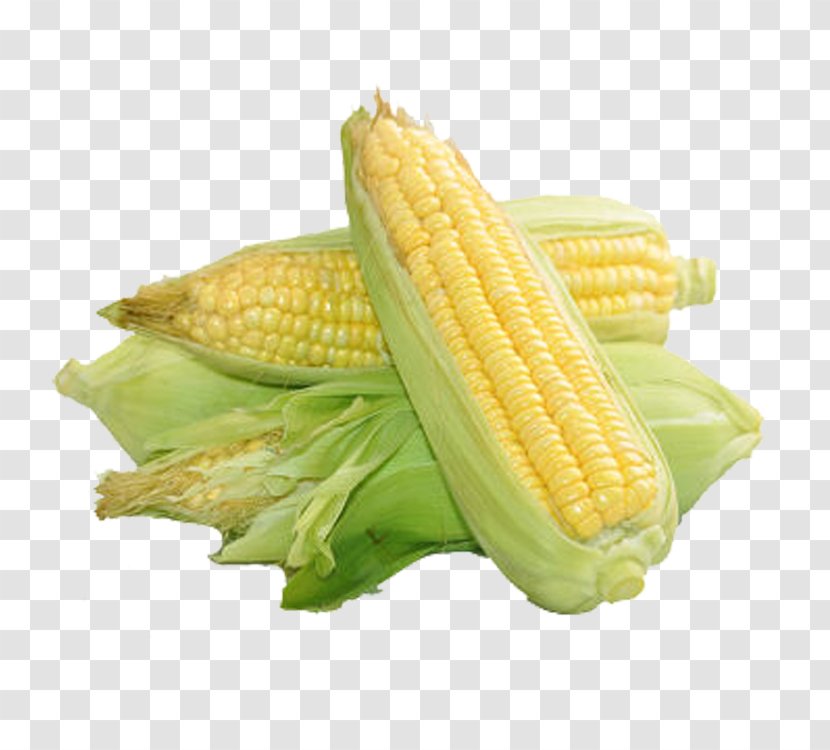 Corn On The Cob Maize Food Sweet - Ingredient - Delicious Transparent PNG