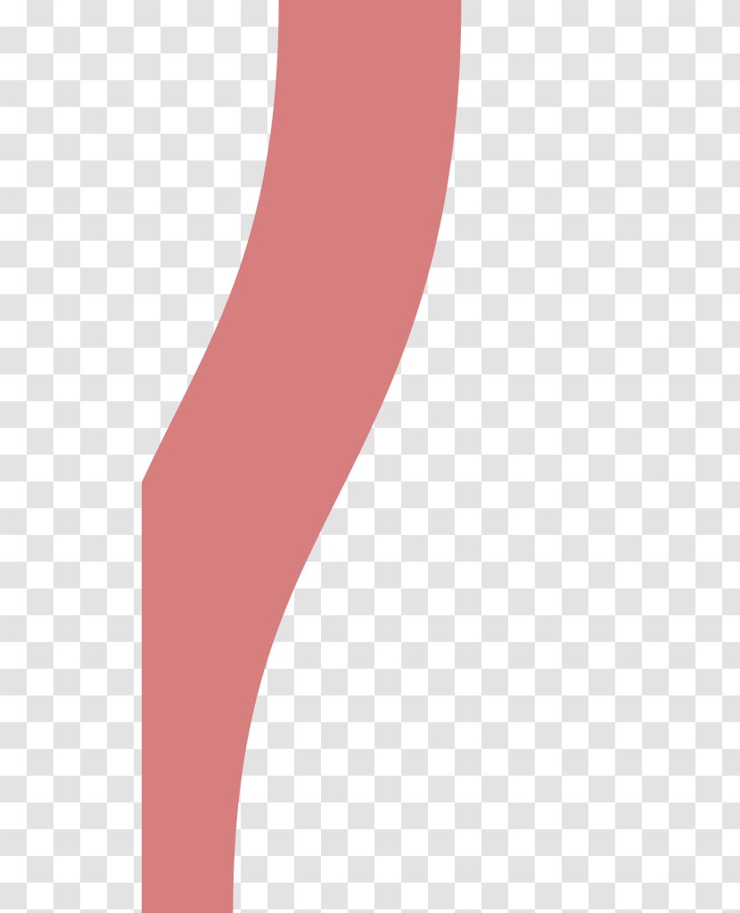 Product Design Font Line - Human Leg Transparent PNG